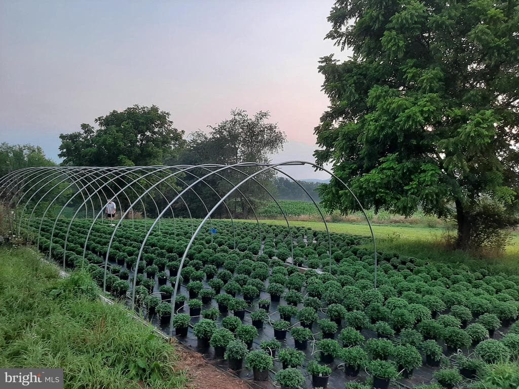 Property photo #2 for Pineloft Landscape and Garden Center at 1814 Iron Bridge Rd, Hustontown, PA 17229