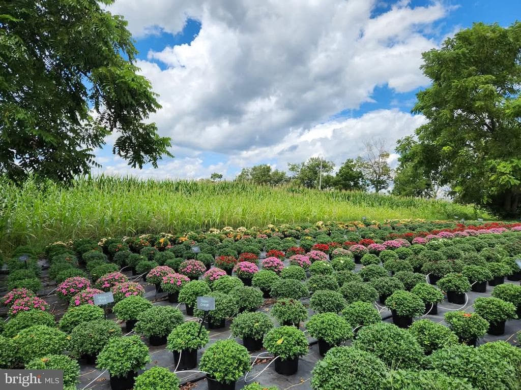 Property photo #25 for Pineloft Landscape and Garden Center at 1814 Iron Bridge Rd, Hustontown, PA 17229