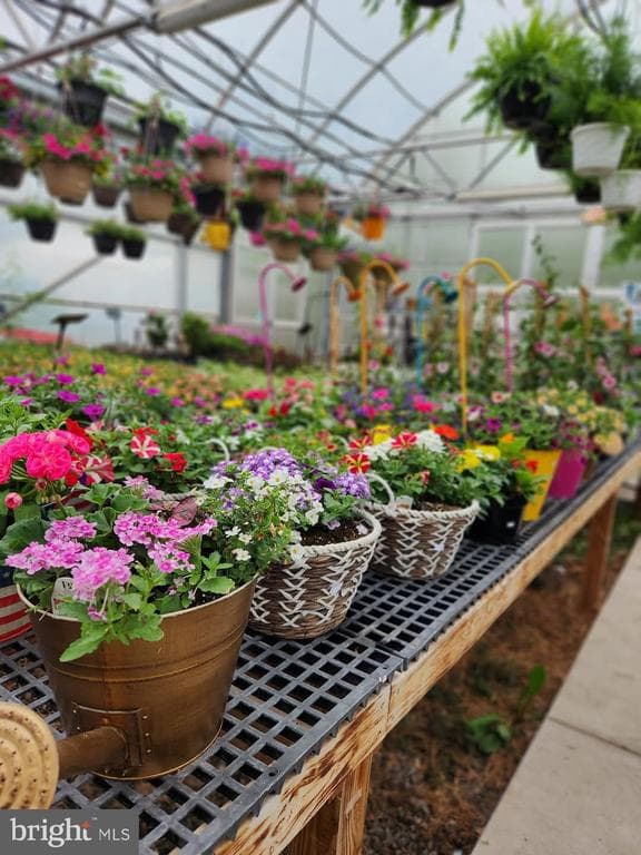 Property photo #35 for Pineloft Landscape and Garden Center at 1814 Iron Bridge Rd, Hustontown, PA 17229