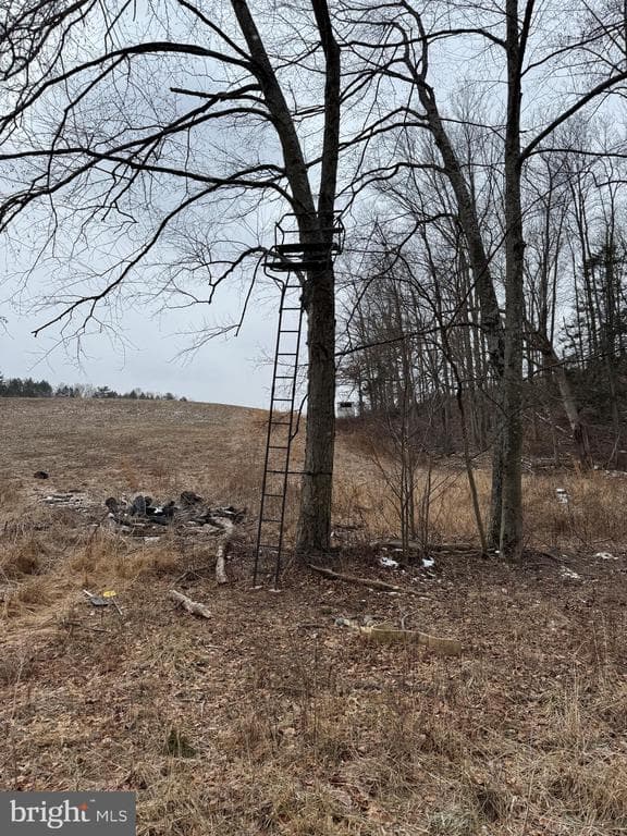 Property photo #23 for 74.21+/- Acres on N Foster Rd, Needmore, PA 17238