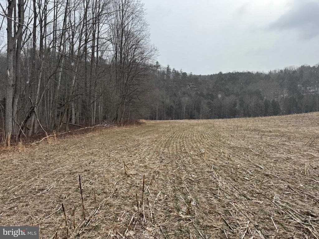 Property photo #24 for 74.21+/- Acres on N Foster Rd, Needmore, PA 17238
