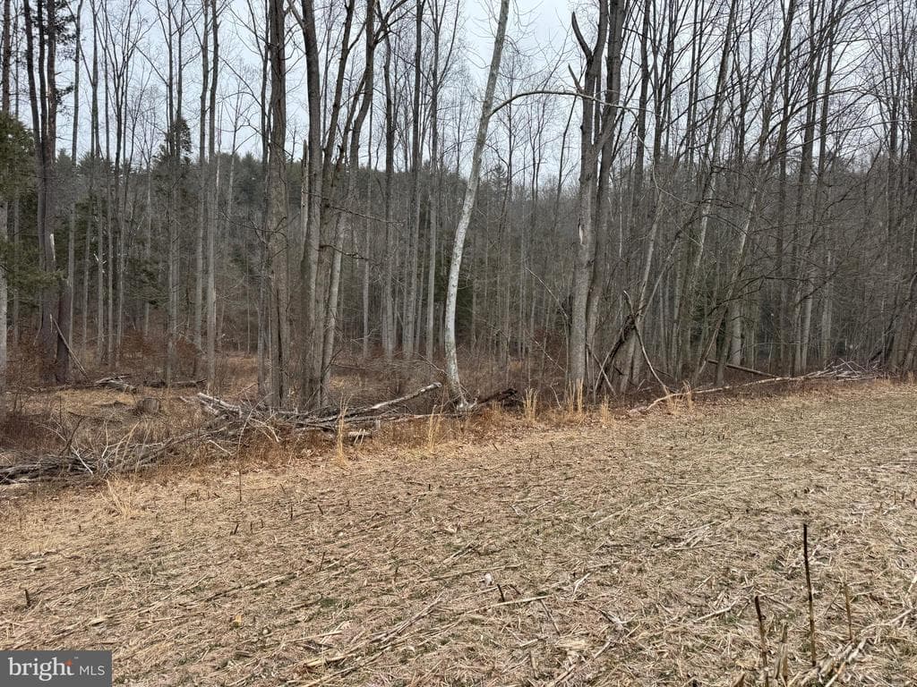Property photo #25 for 74.21+/- Acres on N Foster Rd, Needmore, PA 17238