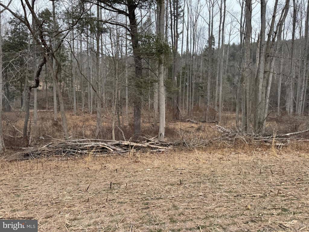 Property photo #26 for 74.21+/- Acres on N Foster Rd, Needmore, PA 17238