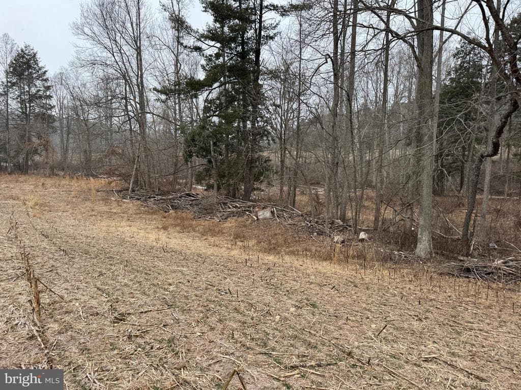 Property photo #27 for 74.21+/- Acres on N Foster Rd, Needmore, PA 17238