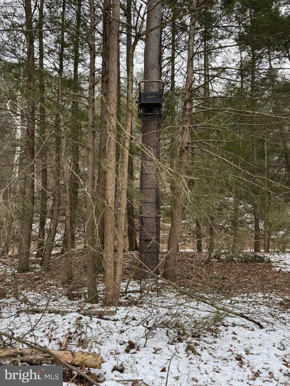 Property photo #32 for 74.21+/- Acres on N Foster Rd, Needmore, PA 17238