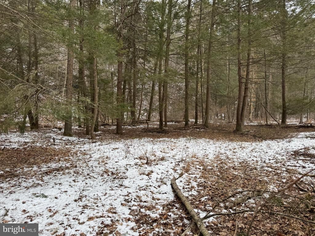 Property photo #33 for 74.21+/- Acres on N Foster Rd, Needmore, PA 17238