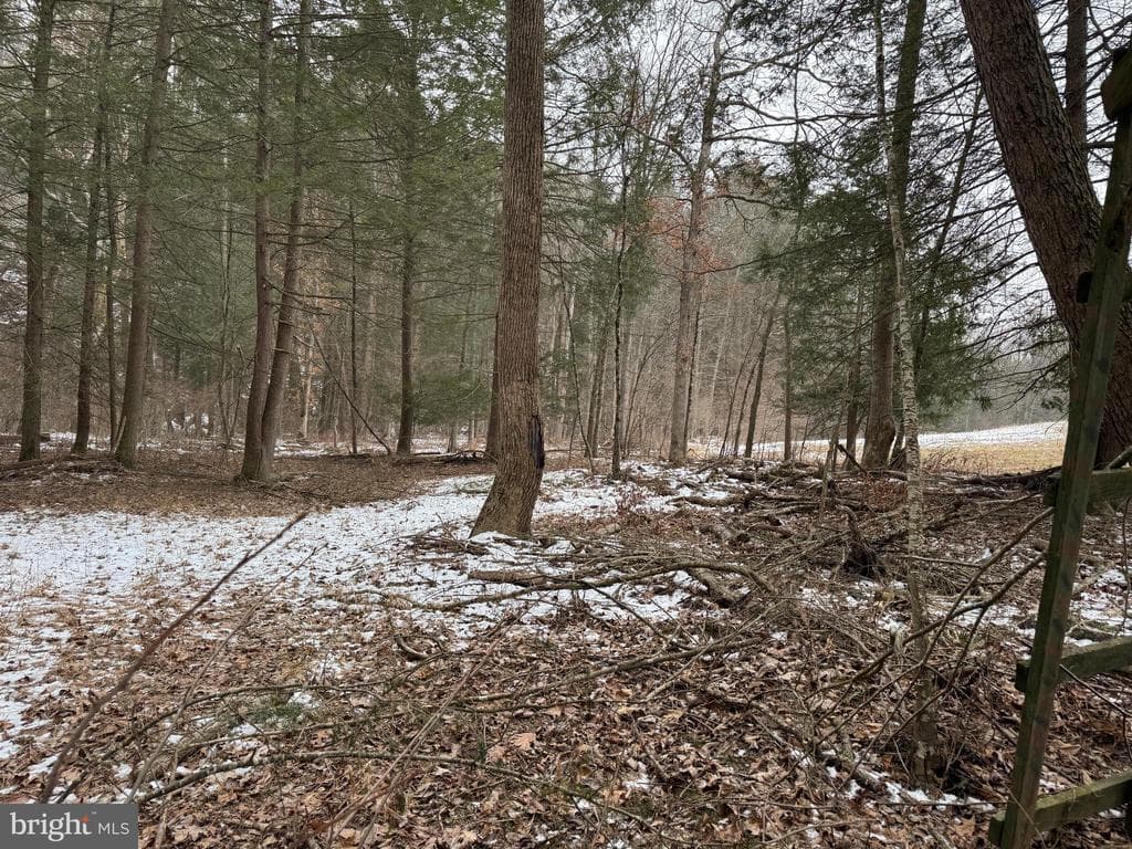 Property photo #34 for 74.21+/- Acres on N Foster Rd, Needmore, PA 17238