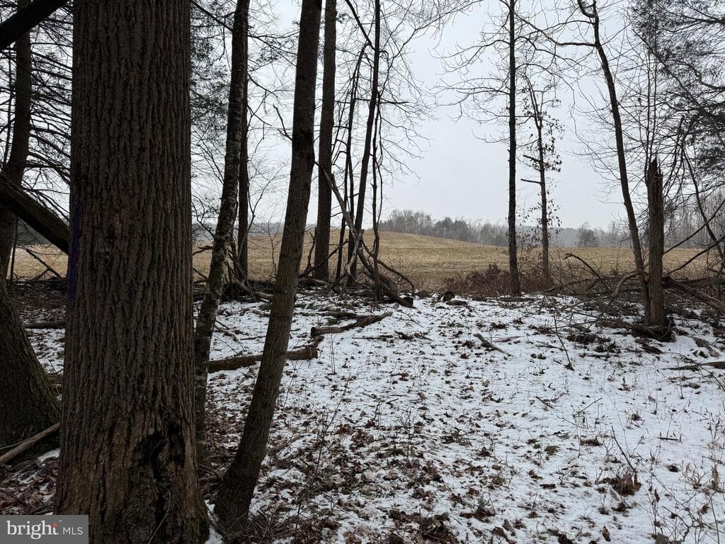 Property photo #35 for 74.21+/- Acres on N Foster Rd, Needmore, PA 17238