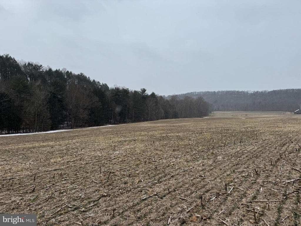 Property photo #45 for 74.21+/- Acres on N Foster Rd, Needmore, PA 17238