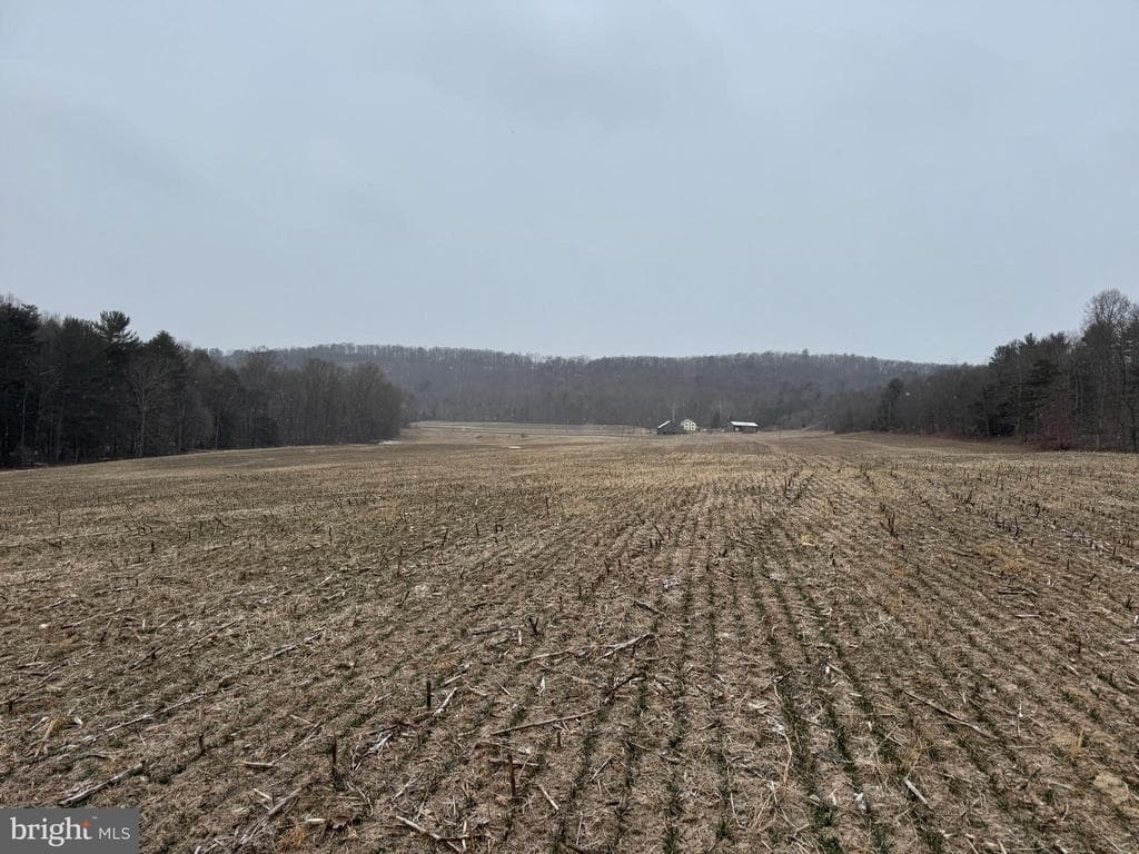 Property photo #46 for 74.21+/- Acres on N Foster Rd, Needmore, PA 17238
