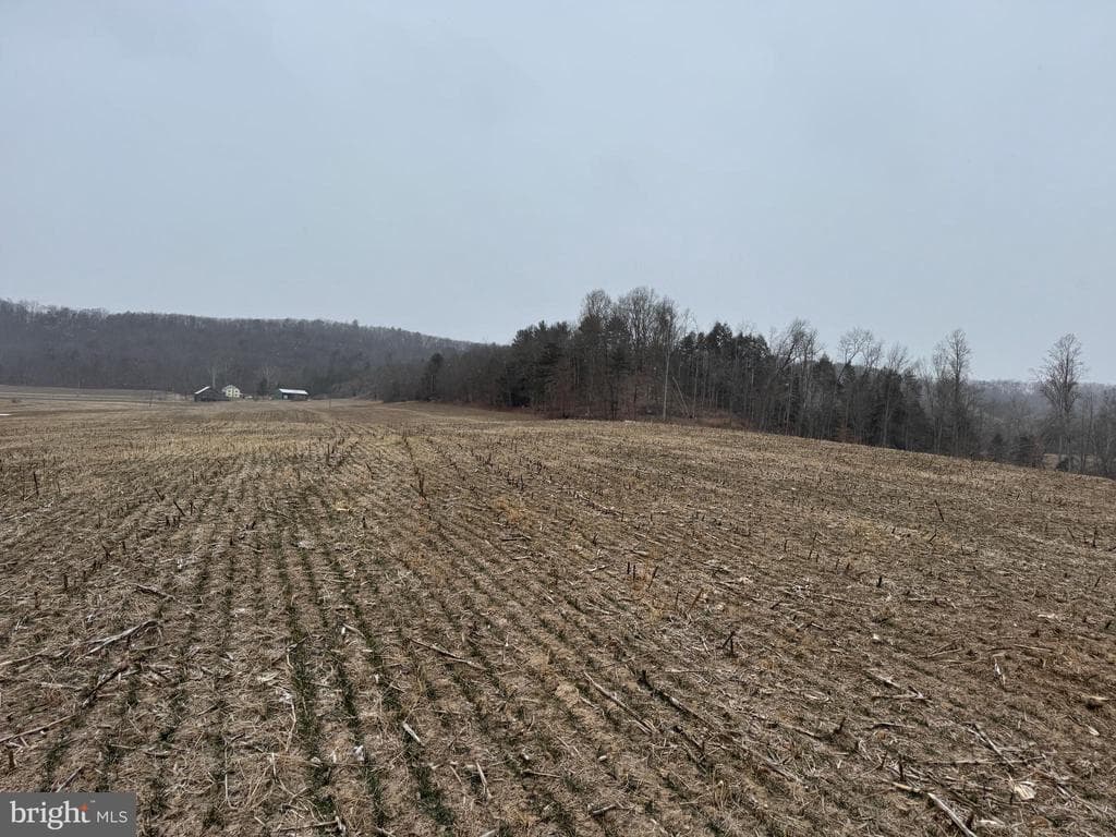 Property photo #47 for 74.21+/- Acres on N Foster Rd, Needmore, PA 17238