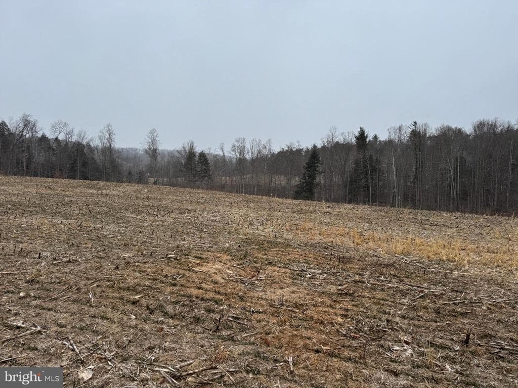 Property photo #48 for 74.21+/- Acres on N Foster Rd, Needmore, PA 17238
