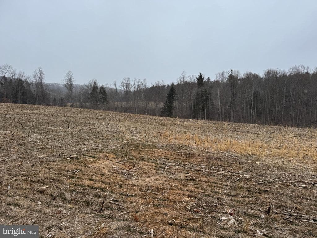 Property photo #49 for 74.21+/- Acres on N Foster Rd, Needmore, PA 17238
