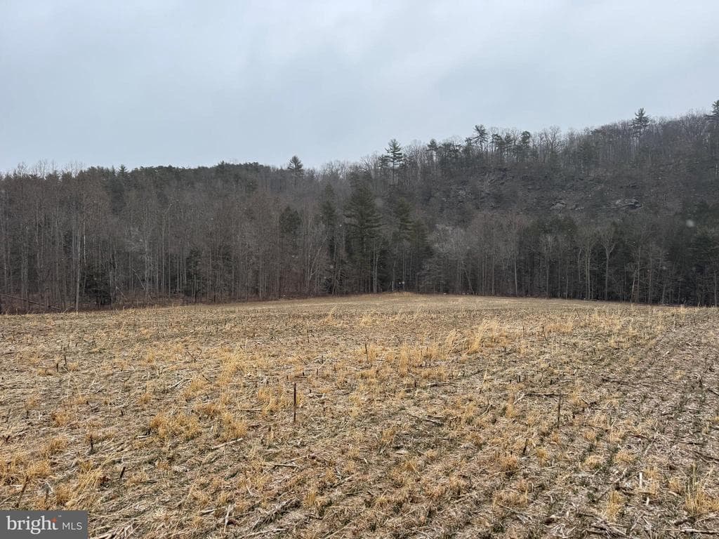 Property photo #50 for 74.21+/- Acres on N Foster Rd, Needmore, PA 17238