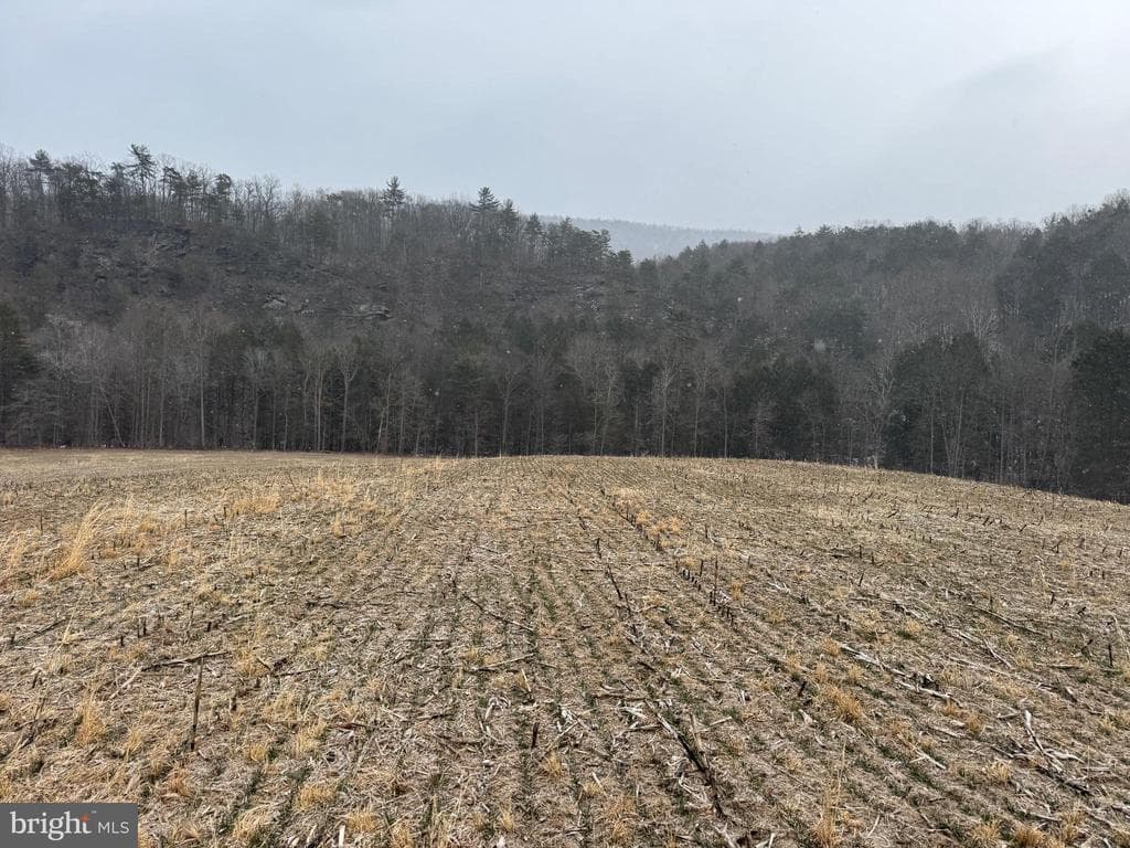 Property photo #51 for 74.21+/- Acres on N Foster Rd, Needmore, PA 17238