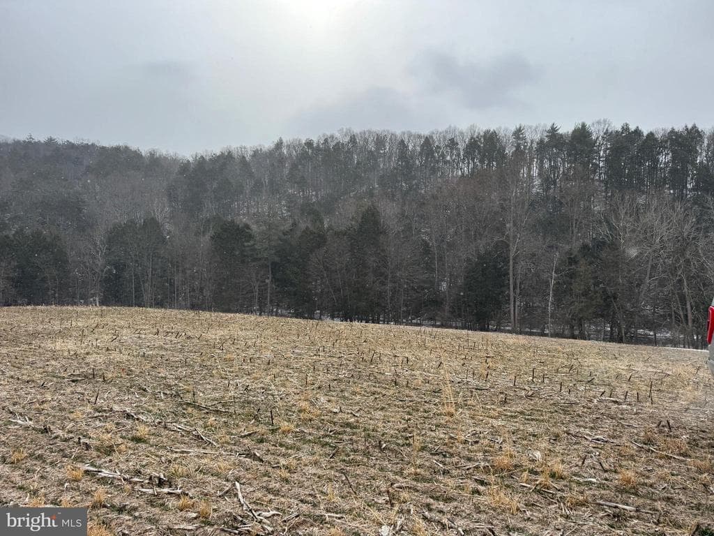 Property photo #52 for 74.21+/- Acres on N Foster Rd, Needmore, PA 17238