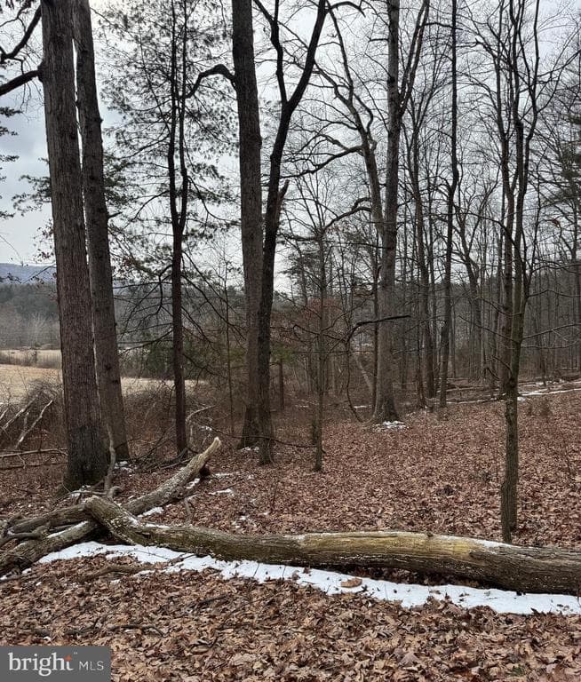 Property photo #11 for 19.79+/- Acres on N Foster Rd, Needmore, PA 17238