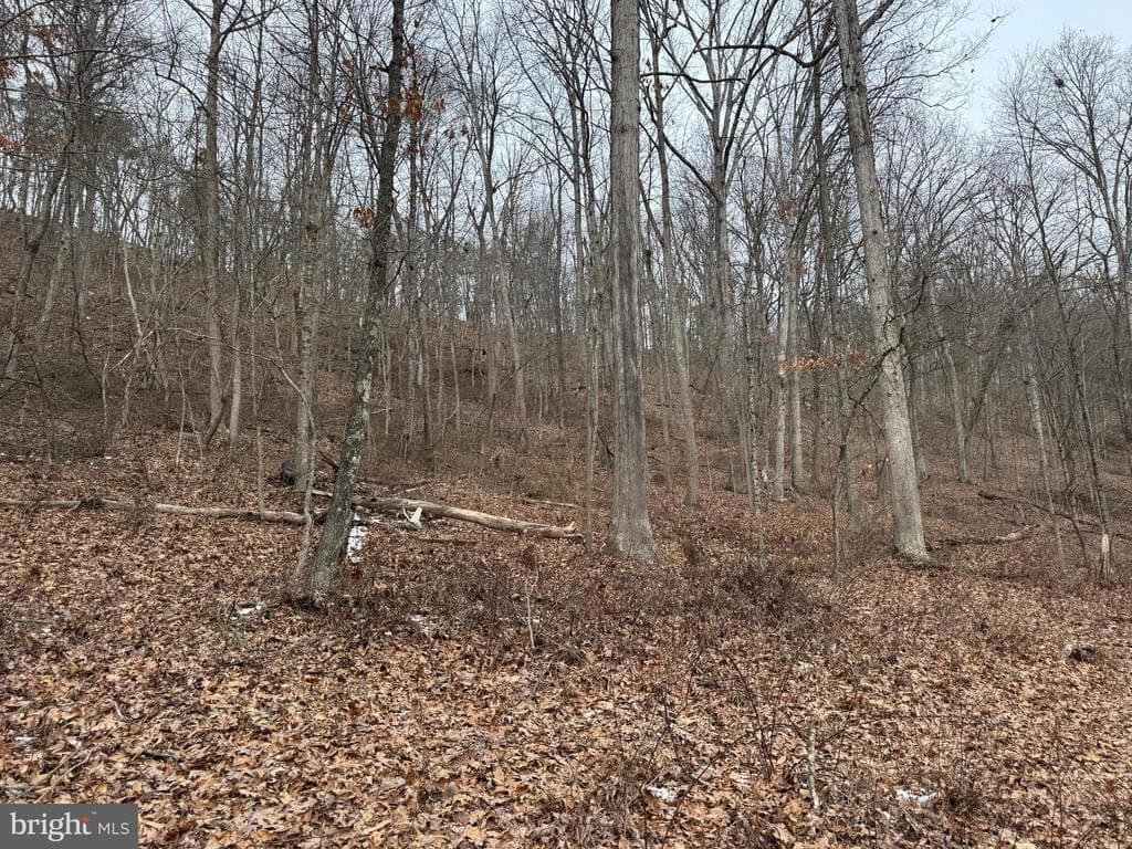Property photo #12 for 19.79+/- Acres on N Foster Rd, Needmore, PA 17238