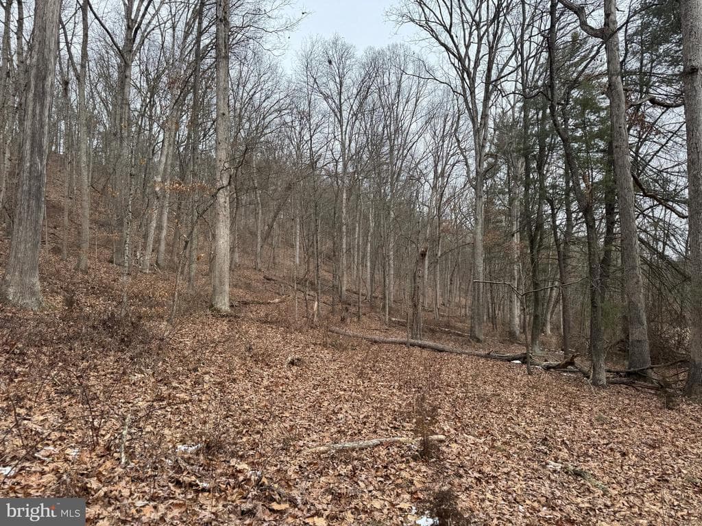 Property photo #13 for 19.79+/- Acres on N Foster Rd, Needmore, PA 17238