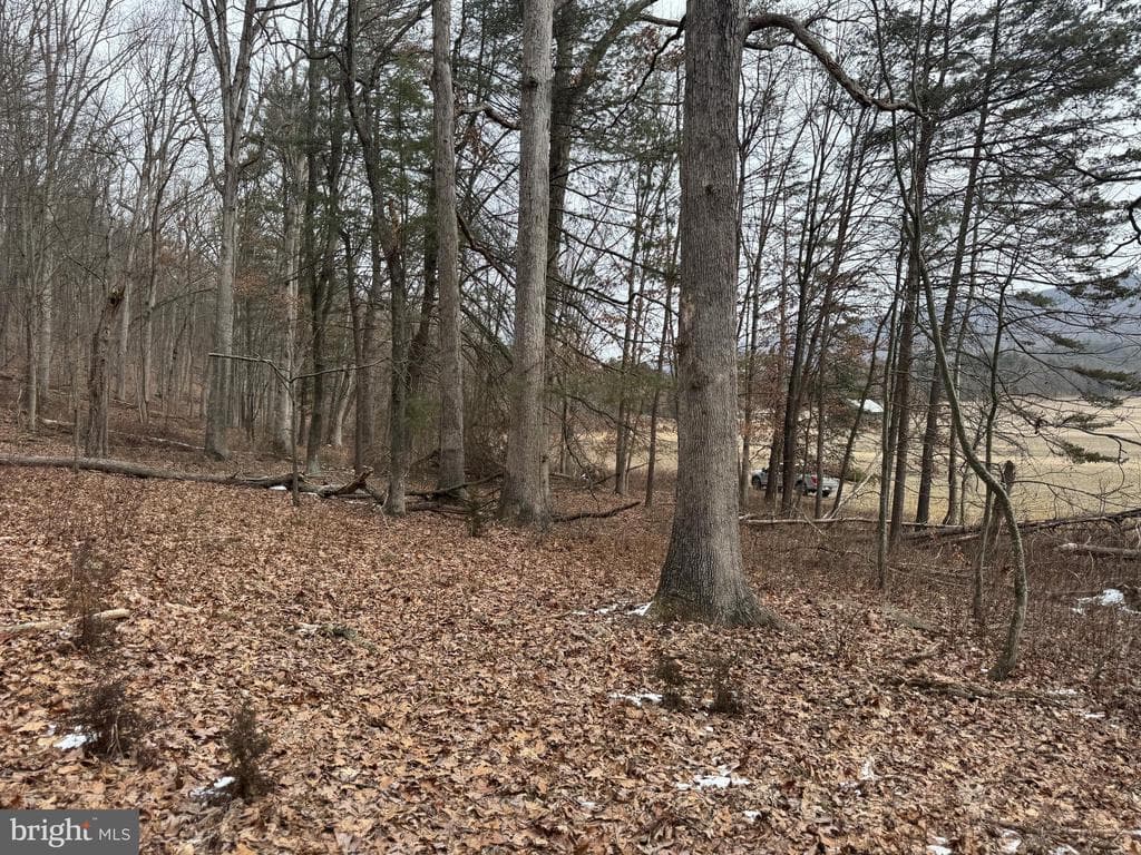 Property photo #14 for 19.79+/- Acres on N Foster Rd, Needmore, PA 17238