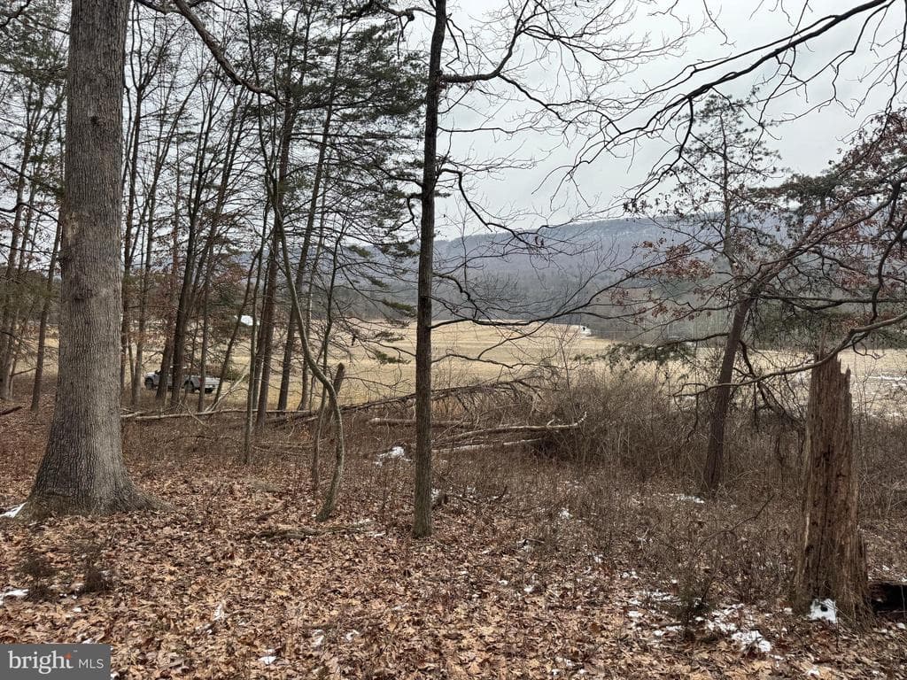 Property photo #15 for 19.79+/- Acres on N Foster Rd, Needmore, PA 17238