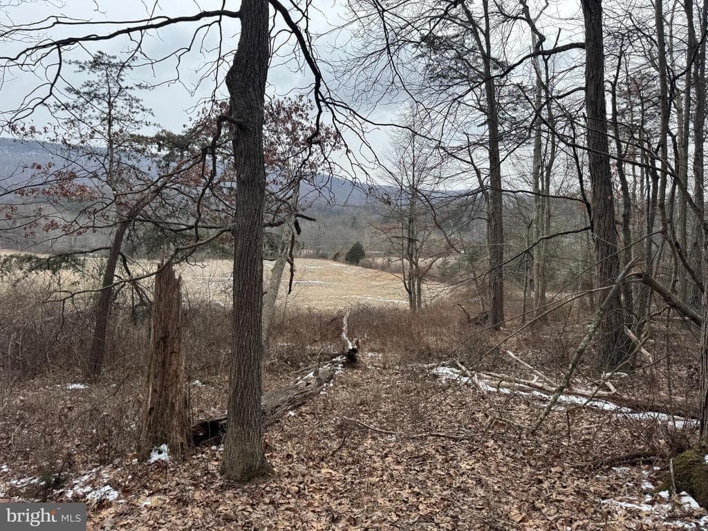 Property photo #16 for 19.79+/- Acres on N Foster Rd, Needmore, PA 17238