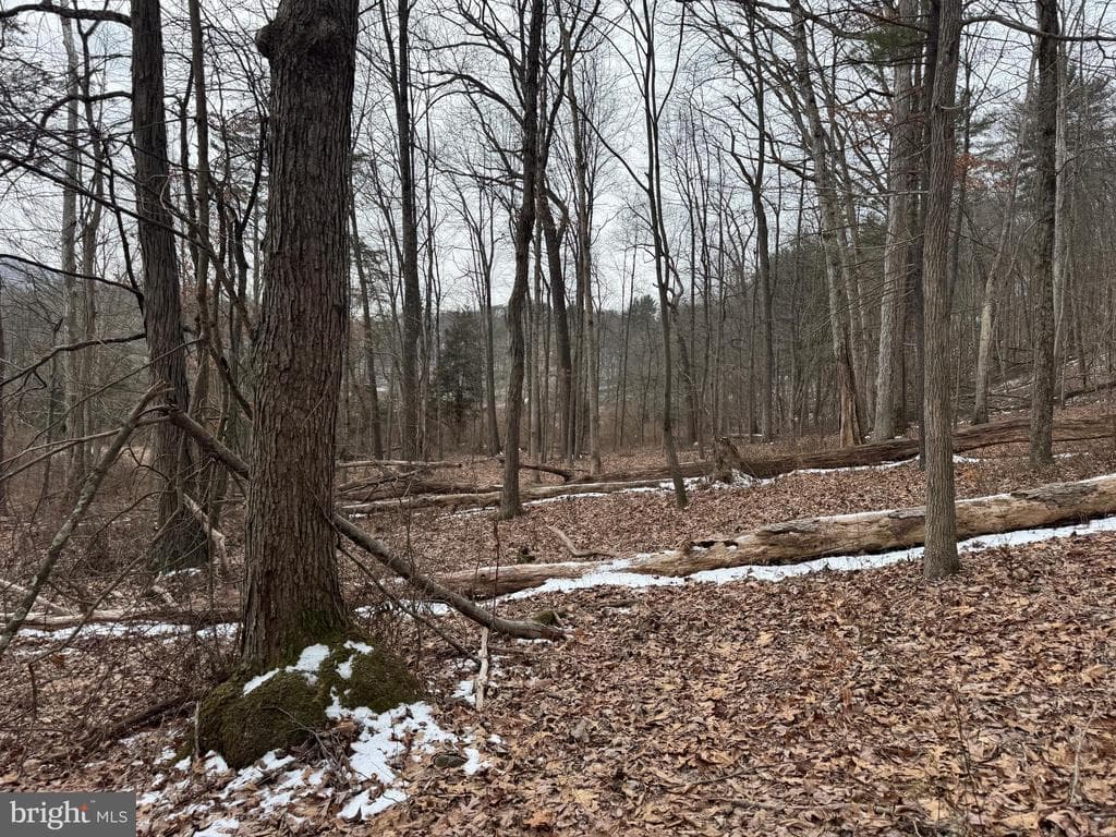 Property photo #17 for 19.79+/- Acres on N Foster Rd, Needmore, PA 17238