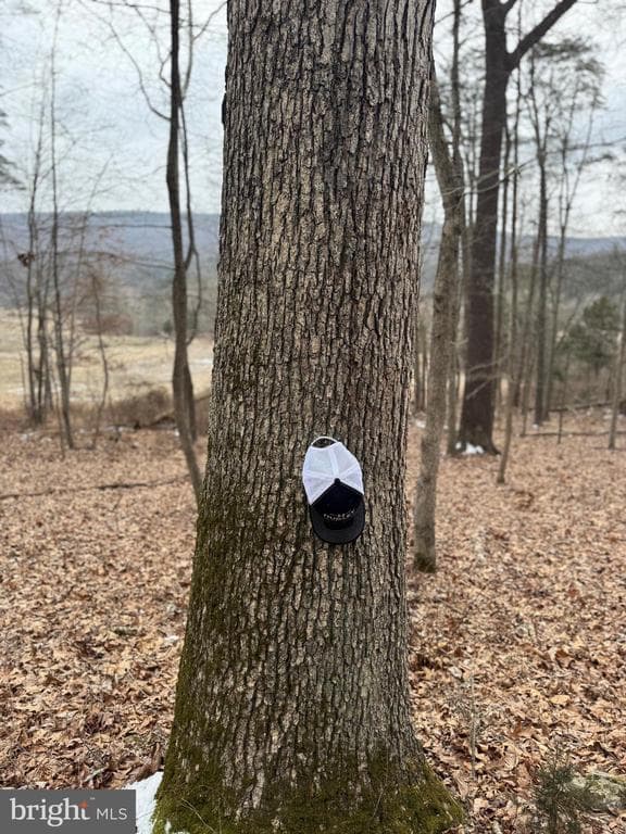 Property photo #20 for 19.79+/- Acres on N Foster Rd, Needmore, PA 17238
