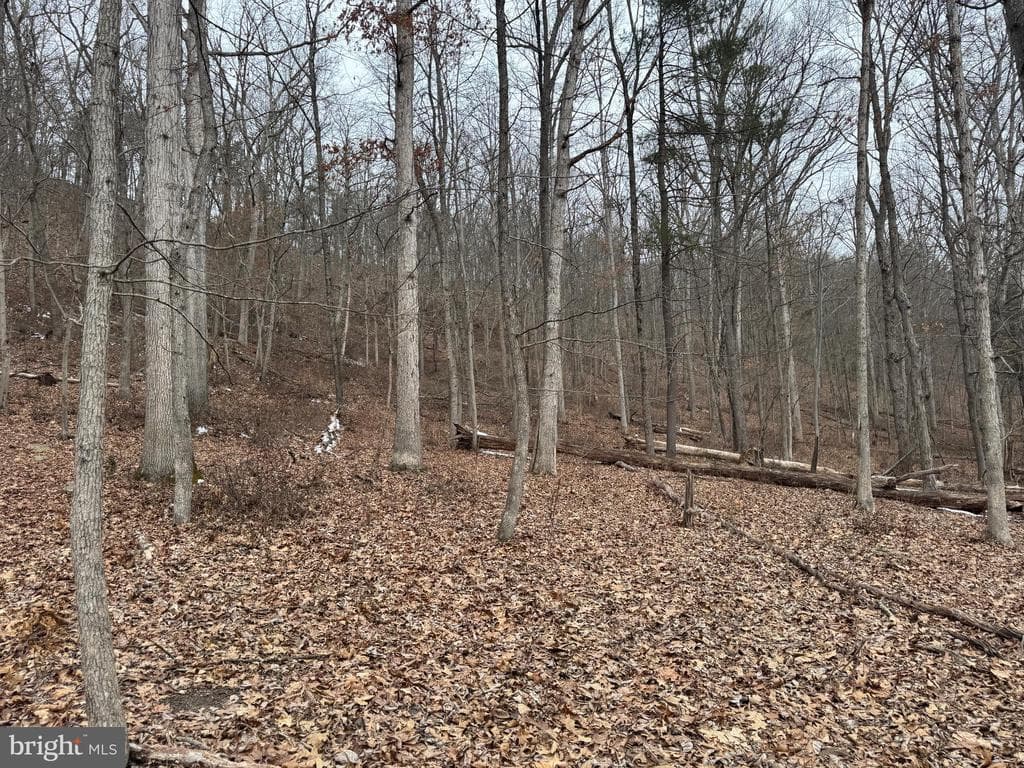Property photo #22 for 19.79+/- Acres on N Foster Rd, Needmore, PA 17238