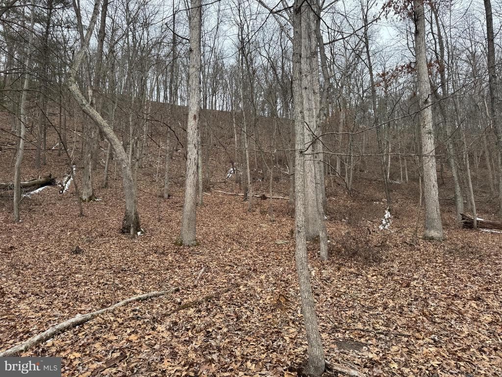 Property photo #23 for 19.79+/- Acres on N Foster Rd, Needmore, PA 17238