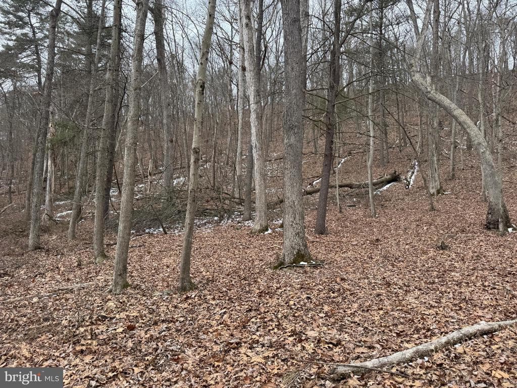 Property photo #24 for 19.79+/- Acres on N Foster Rd, Needmore, PA 17238