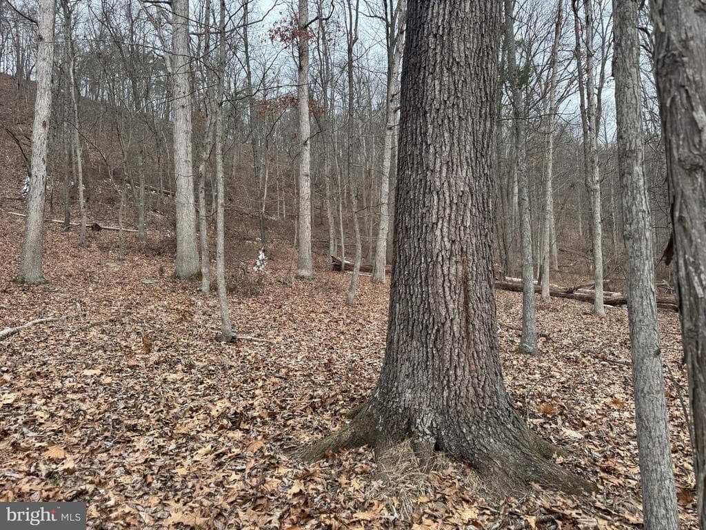 Property photo #25 for 19.79+/- Acres on N Foster Rd, Needmore, PA 17238