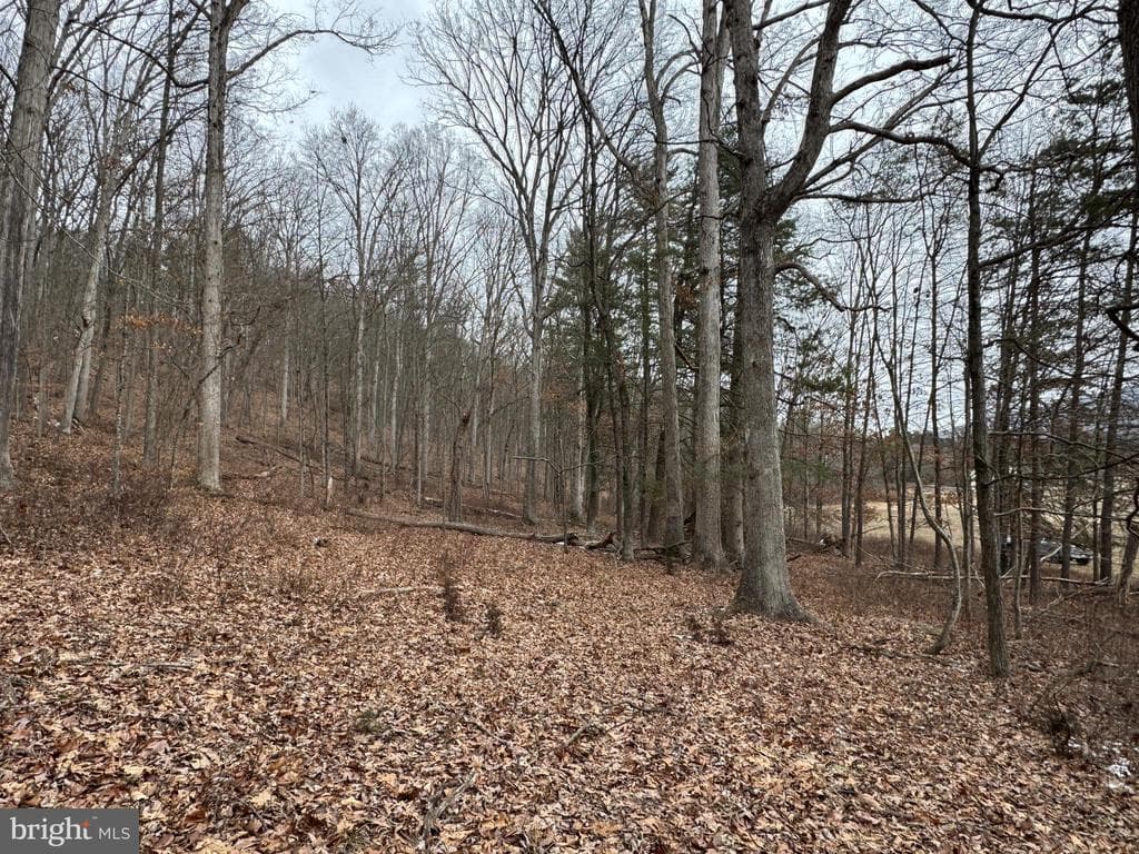 Property photo #26 for 19.79+/- Acres on N Foster Rd, Needmore, PA 17238