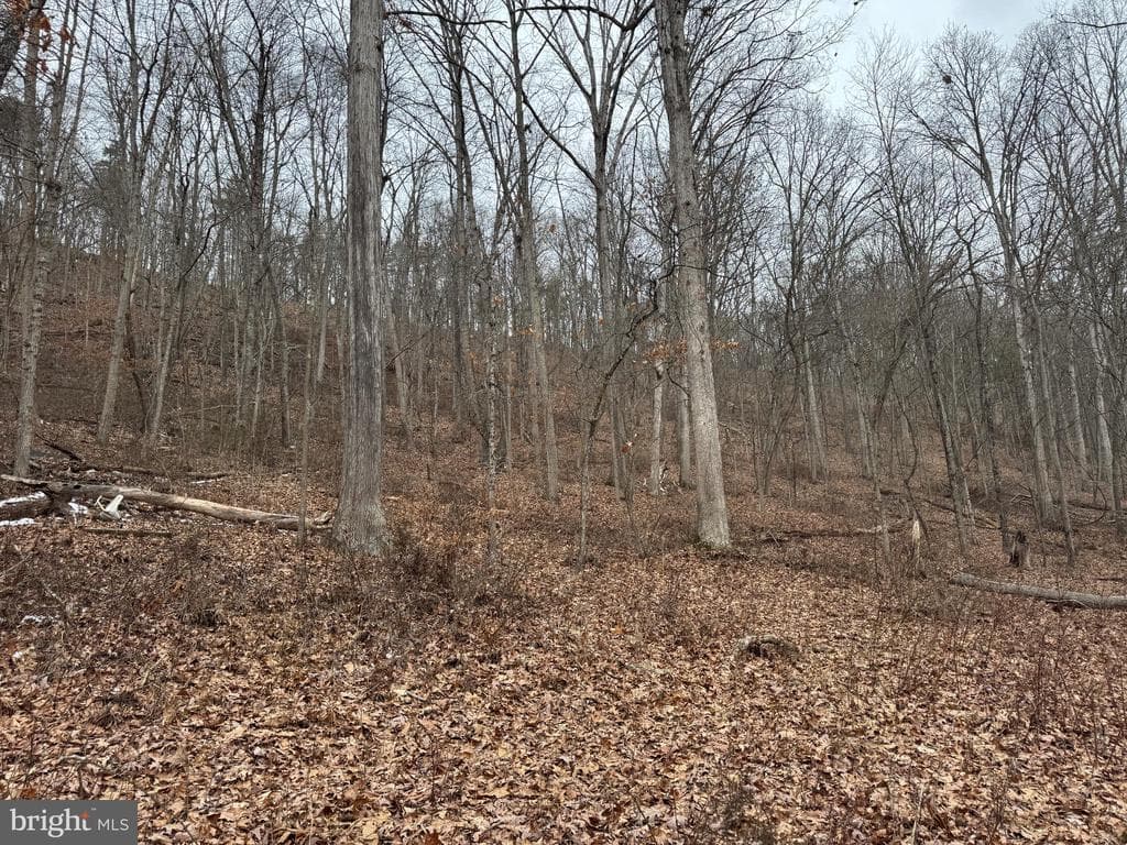 Property photo #27 for 19.79+/- Acres on N Foster Rd, Needmore, PA 17238