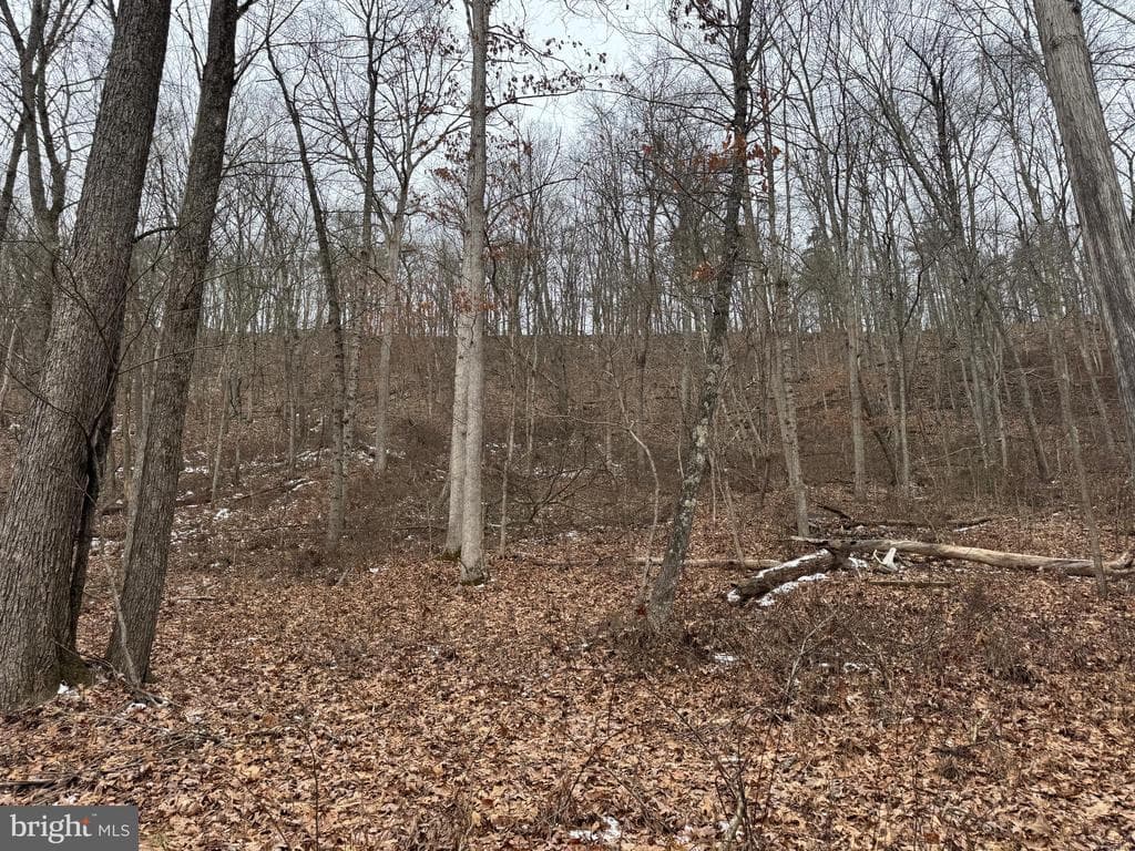 Property photo #28 for 19.79+/- Acres on N Foster Rd, Needmore, PA 17238