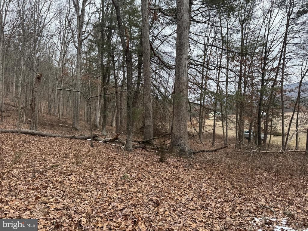 Property photo #29 for 19.79+/- Acres on N Foster Rd, Needmore, PA 17238