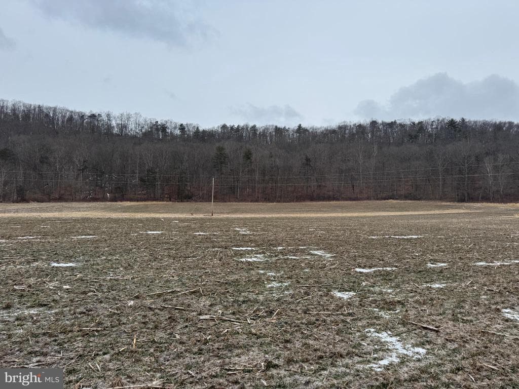 Property photo #3 for 19.79+/- Acres on N Foster Rd, Needmore, PA 17238