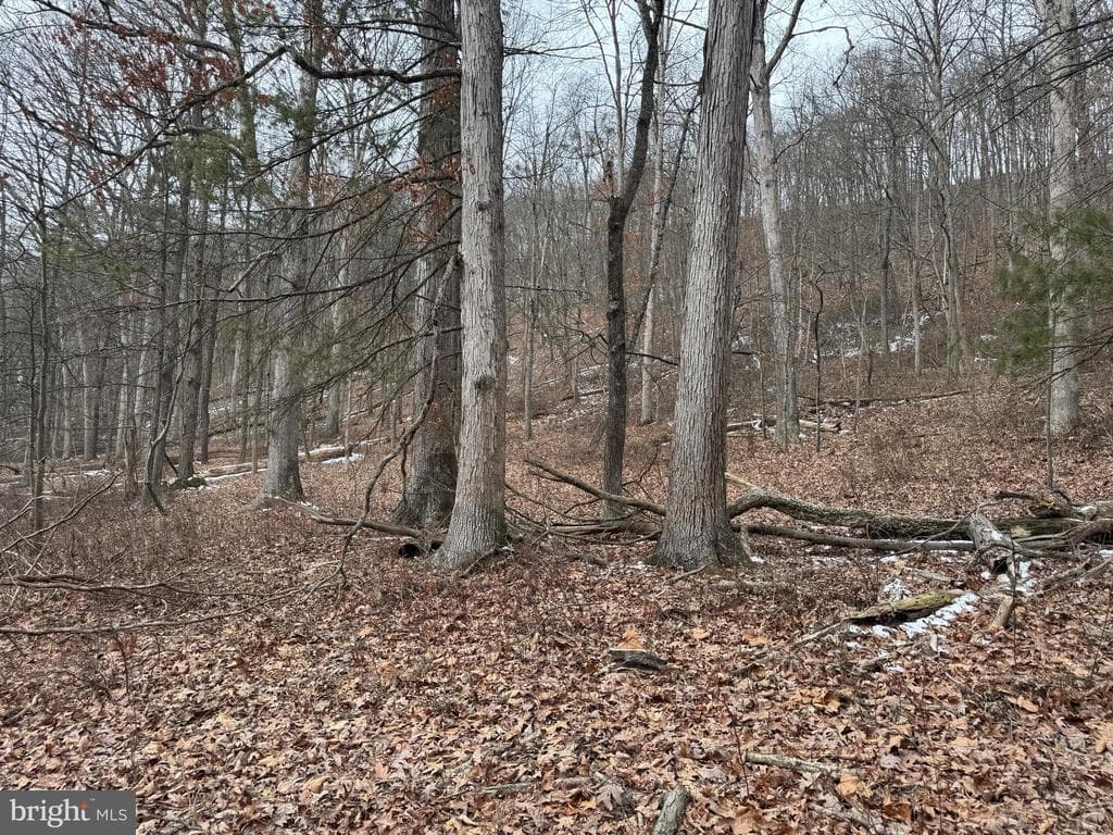 Property photo #5 for 19.79+/- Acres on N Foster Rd, Needmore, PA 17238