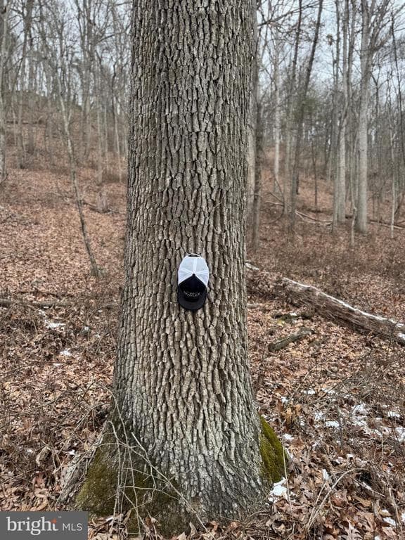 Property photo #6 for 19.79+/- Acres on N Foster Rd, Needmore, PA 17238