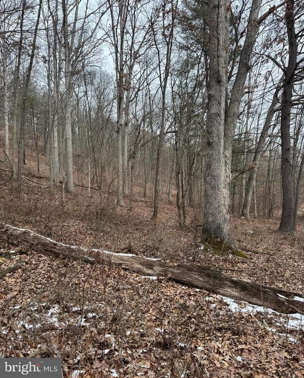 Property photo #8 for 19.79+/- Acres on N Foster Rd, Needmore, PA 17238