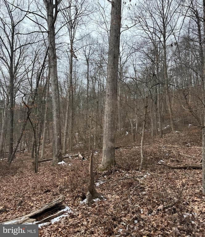Property photo #9 for 19.79+/- Acres on N Foster Rd, Needmore, PA 17238