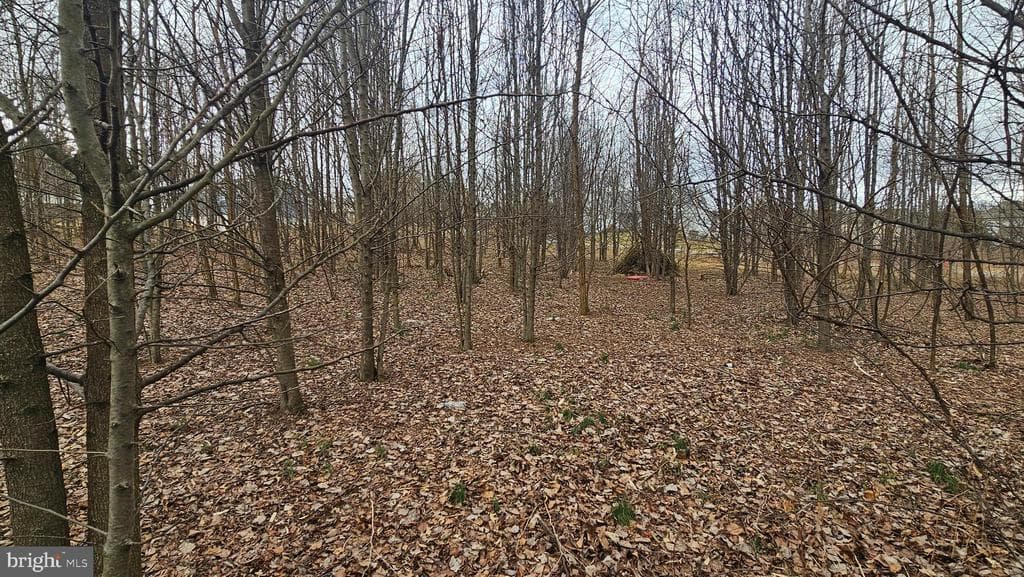 Property photo #9 for Lots 15, 16, 17, 19, & 20 Buchanan Drive, Mercersburg, PA 17236
