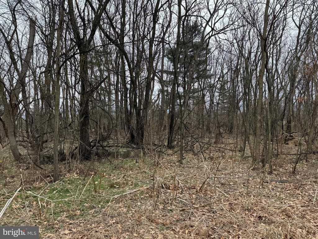 Property photo #6 for 13501 Fritz Lane, Smithsburg, MD 21783