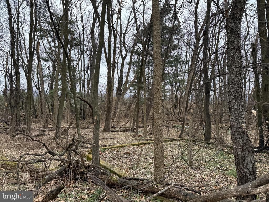 Property photo #8 for 13501 Fritz Lane, Smithsburg, MD 21783
