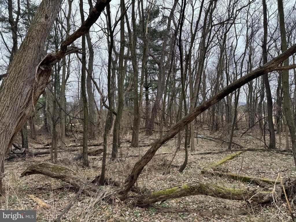 Property photo #9 for 13501 Fritz Lane, Smithsburg, MD 21783