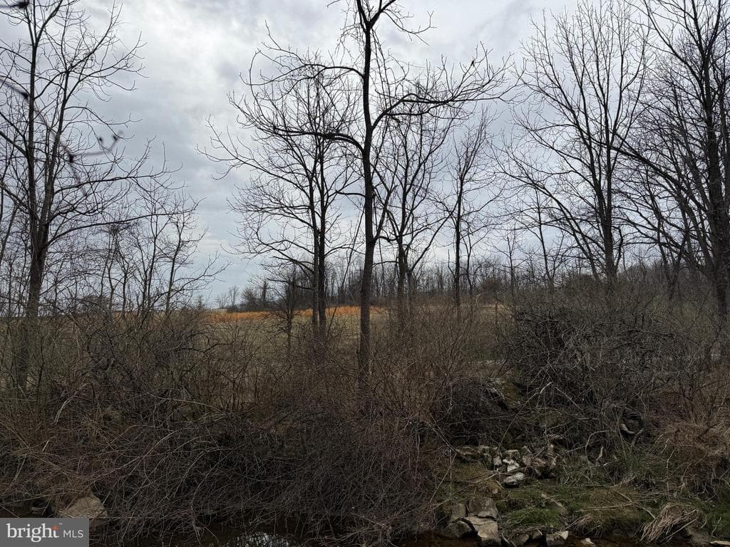 Property photo #49 for 17825 Dry Run Rd S, Dry Run, PA 17220