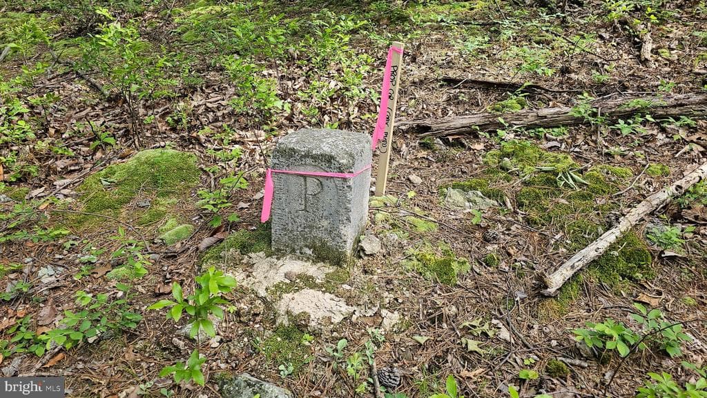 Property photo #1 for 6.74+/- Acres Dry Run Rd / Polecat Hollow Rd, Mercersburg, PA 17236