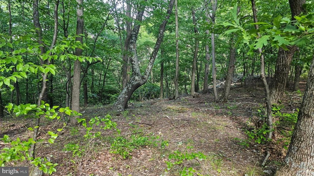Property photo #10 for 6.74+/- Acres Dry Run Rd / Polecat Hollow Rd, Mercersburg, PA 17236