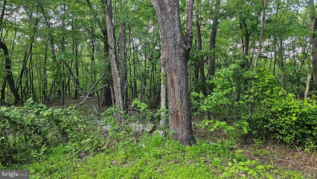 Property photo #11 for 6.74+/- Acres Dry Run Rd / Polecat Hollow Rd, Mercersburg, PA 17236