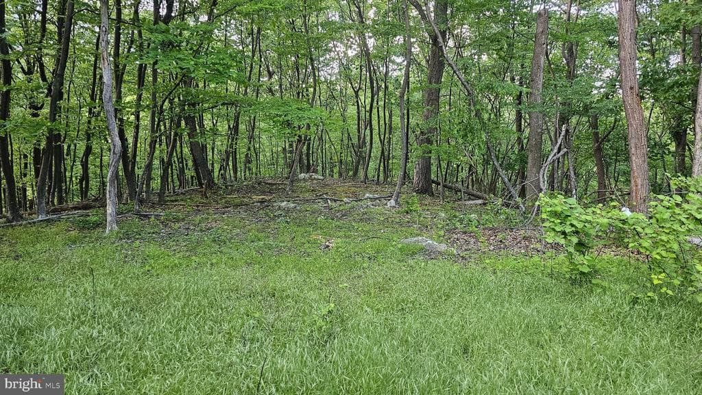 Property photo #12 for 6.74+/- Acres Dry Run Rd / Polecat Hollow Rd, Mercersburg, PA 17236